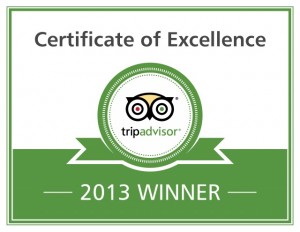 Excellence-Badge_2013_en