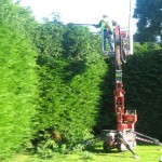 Foxcover Landscaping and Tree Surgery